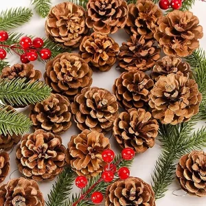 6 pièces de décorations en pignons de pin naturels pour Noël