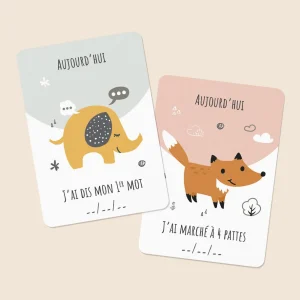 12 Cartes étapes mes premières fois Animaux
