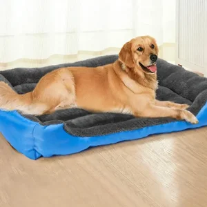 Litière pour chien