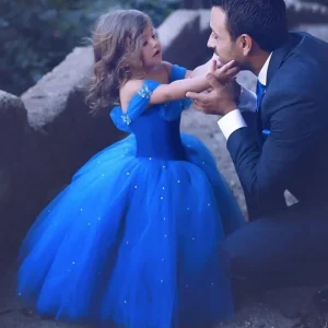 Robe De Bal Cendrillon