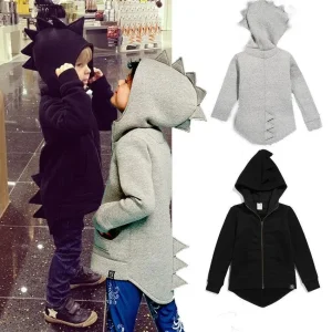 Veste Dinosaure Pour Garçon