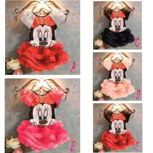 Magnifique Robe De Fête Pour Filles