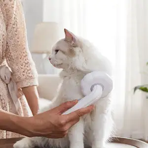 Brosses de toilettage pour chats et chiens
